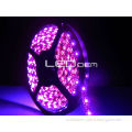 8mm 240 led strip light